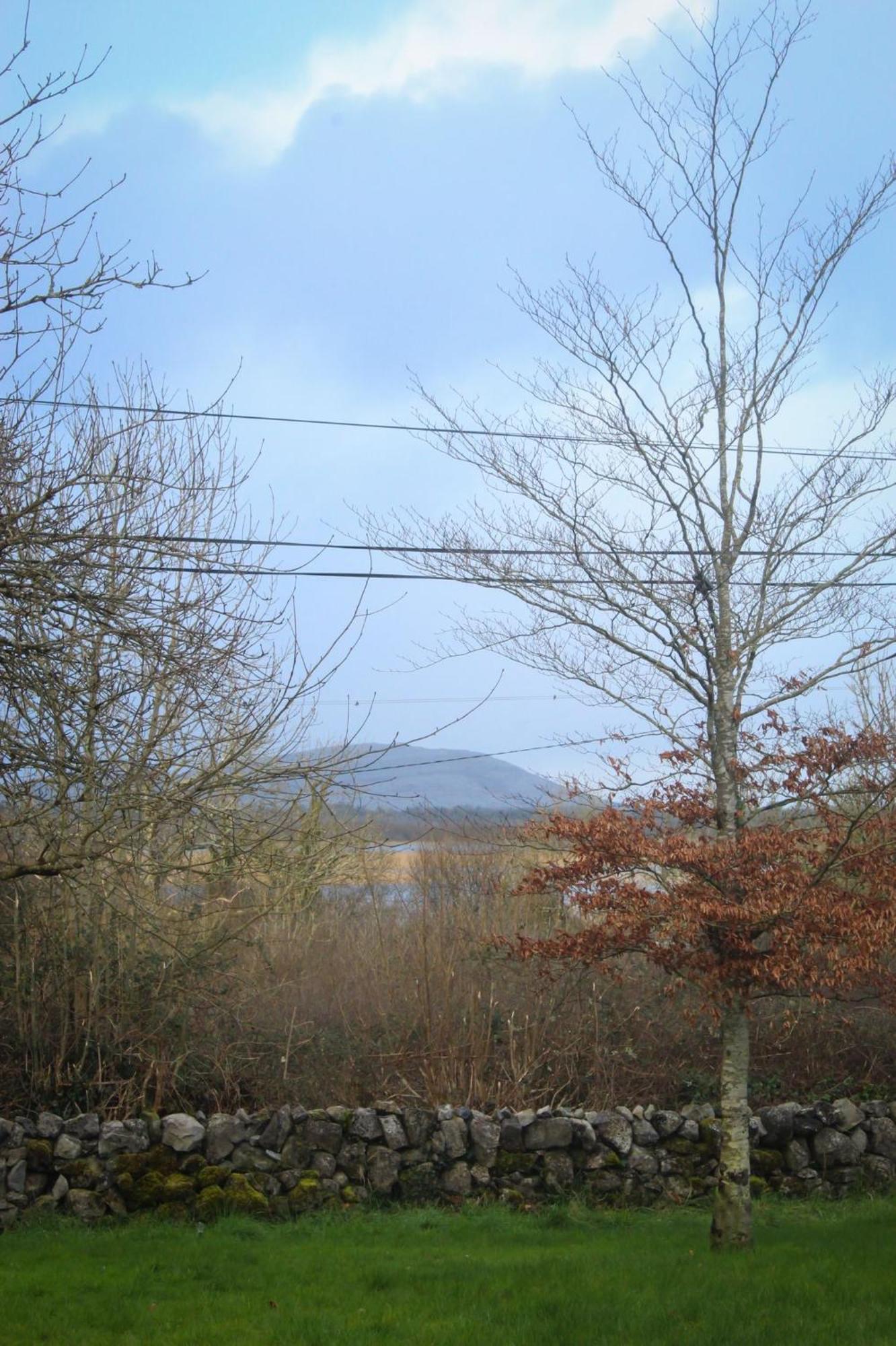 Riverside Cottage In The Burren Corofin  Ngoại thất bức ảnh