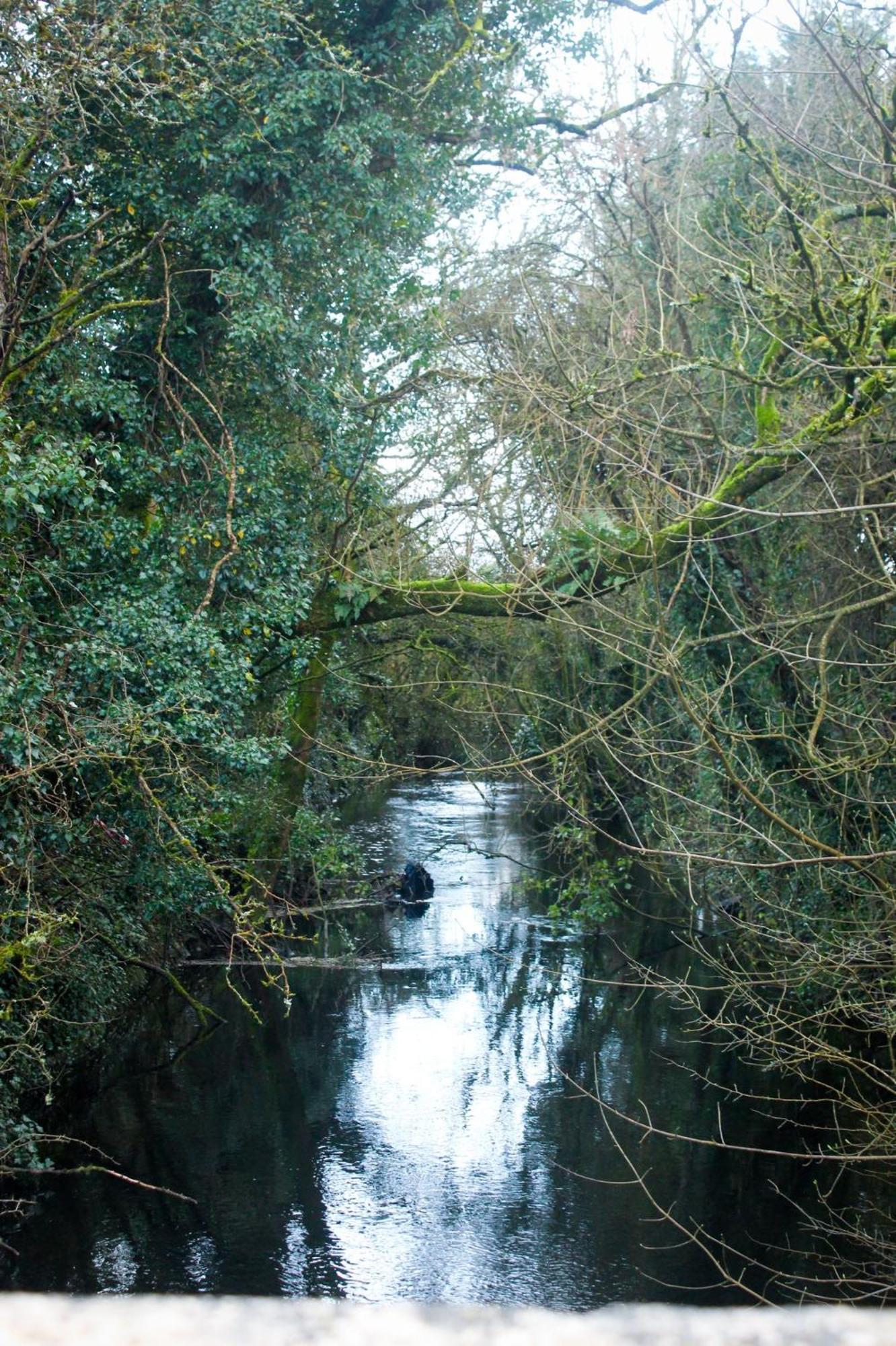 Riverside Cottage In The Burren Corofin  Ngoại thất bức ảnh